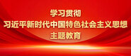 我想看美女的逼学习贯彻习近平新时代中国特色社会主义思想主题教育_fororder_ad-371X160(2)